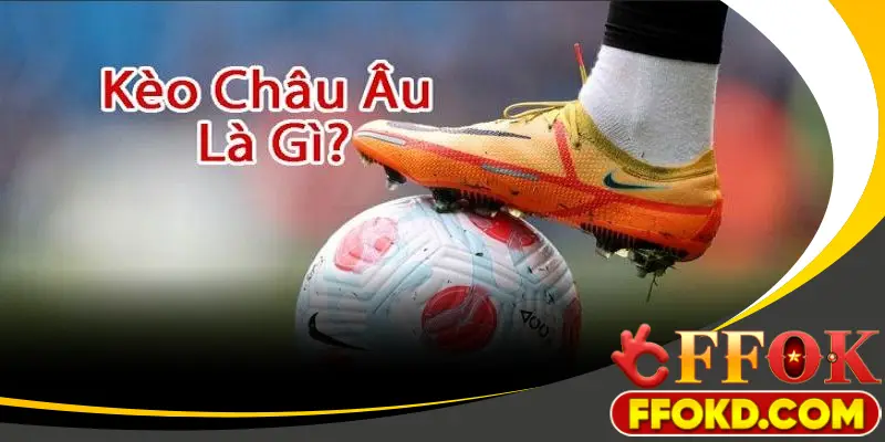 Kèo châu âu sự lựa chọn của các cược thủ.