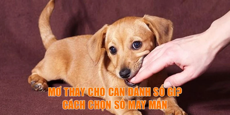 Cách chọn số may mắn