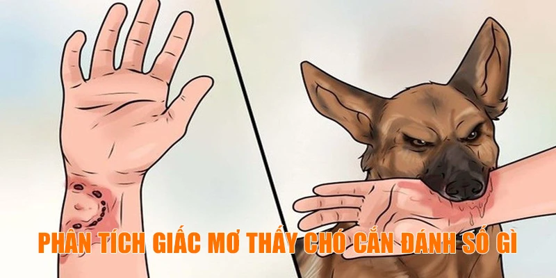 Phân tích giấc mơ thấy chó cắn đánh số gì
